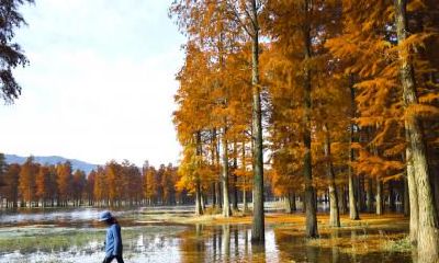 2019年圣诞节出生五行缺火宝宝名字精选!