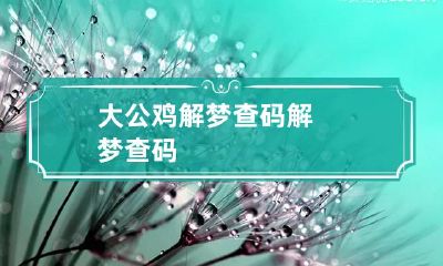 大公鸡解梦查码 解梦查码