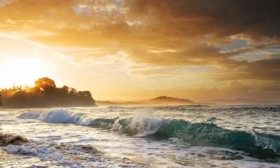 2019年农历腊月二十日出生五行缺木的男孩名字推荐