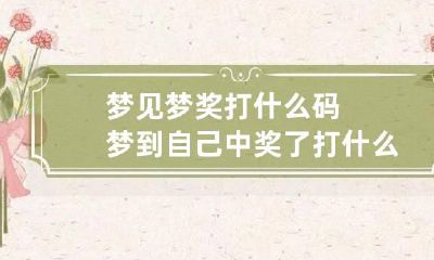 梦见梦奖打什么码 梦到自己中奖了打什么码
