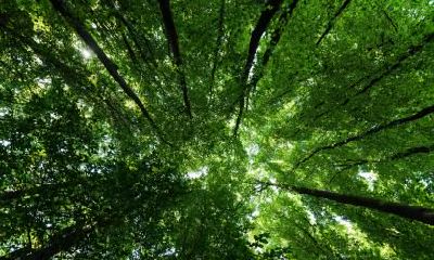 2020年正月初十出生男孩起名五行属火