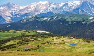 2020年正月十四出生的女孩五行缺金取什么名字好?名字推荐