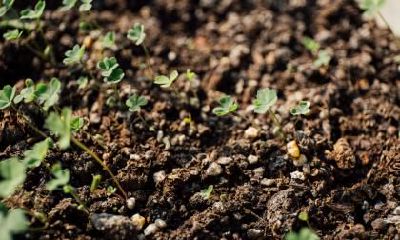 2020年正月二十一出生五行缺水男孩名字推荐