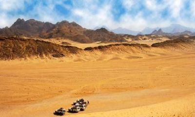 2020年正月二十四日出生的男孩五行缺金取名