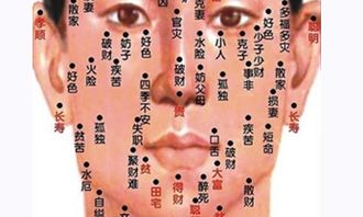 男人脸上的痣图解大全