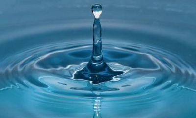 2019年7月出生猪宝宝五行属性如何?怎么起个好名字?