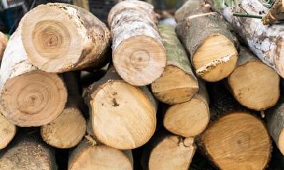 2020年农历正月二十六出生五行属水好寓意的女孩名字