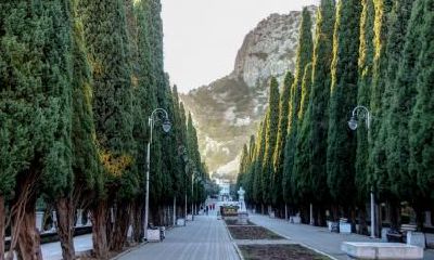 属猪的女孩夏天出生取名字推荐