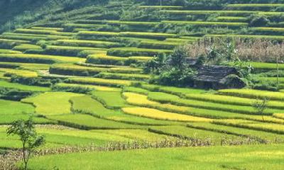 2020年元旦1月1日五行缺金宝宝起名,缺金取名用什么字?