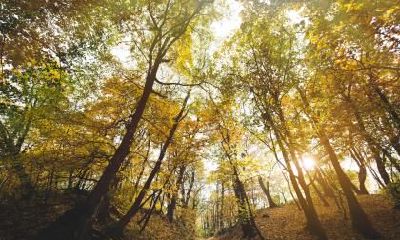 2020年农历二月二十六出生女孩文雅名字推荐,五行缺什么?