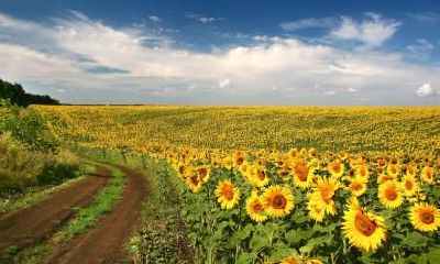 2020年农历二月二十九出生好听男孩名字,五行属火男孩起名