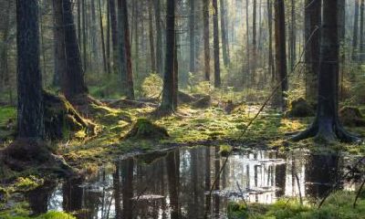 2019年芒种出生男孩五行缺金名字推荐,芒种出生的男孩好吗?