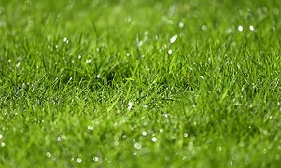 2019年端午节出生的人五行缺金取名推荐