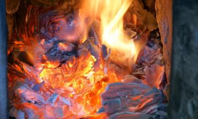 出生于2020年腊八节五行缺木如何起名?五行缺木怎么补?