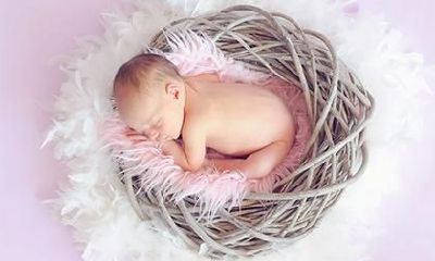 为什么腊八节出生不好?2020年腊八节出生猪宝宝起名!