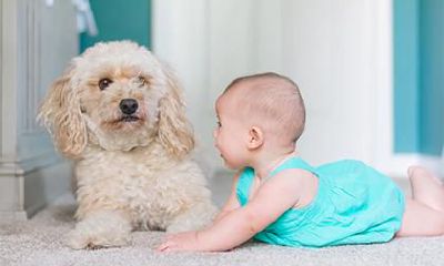 2019年6月出生的猪宝宝如何取名?有内涵的宝宝名字推荐