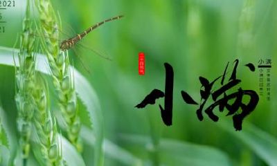 2019年小满节气出生的女孩五行缺火的好听的名字推荐