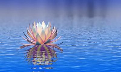 2019年小满出生的男孩起名推荐,小满出生五行缺什么?