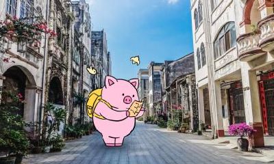 木命猪女宝宝名字大全