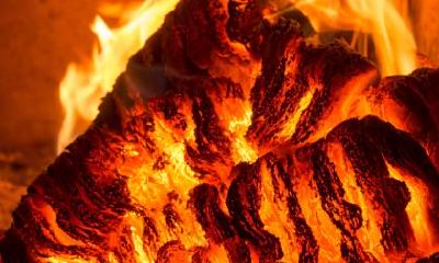 2021年1月22日出生男孩五行缺木霸气名字,五行缺木怎么起名?