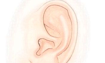 发财痣,4处地方痣越大,财运越强,大发横财