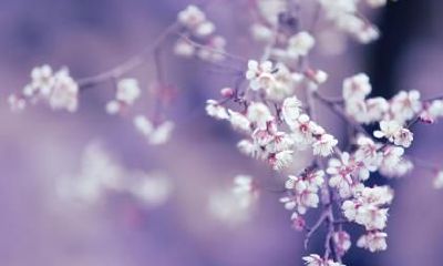 2021年立春可以回娘家吗?立春不能和娘家人见面吗?