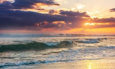 2021端午节出生的五行缺火起名推荐,取名带什么字好