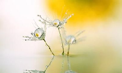 2021端午节出生的五行缺土的孩子起名推荐