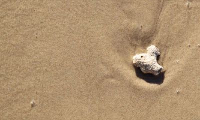 女人梦见满地的大便的预兆吉利吗