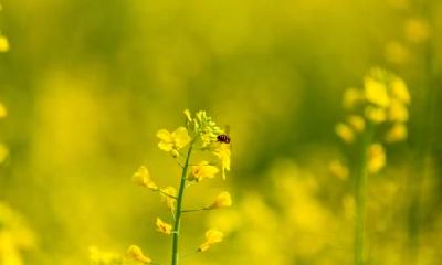 2021年立春要注意什么?立春什么不能做?有什么注意事项?