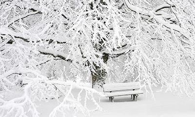 2021年冬天出生的牛宝宝小名大全