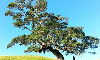 夏天出生五行属水的乳名如何起名?