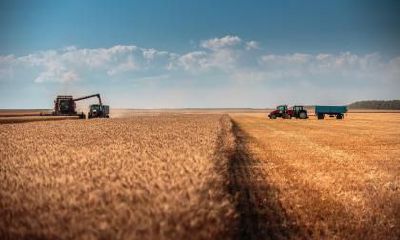 2020年小年出生男孩五行缺火的好听名字起名