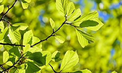 2021年4月出生的男孩五行缺什么?2021年4月出生的男孩名字