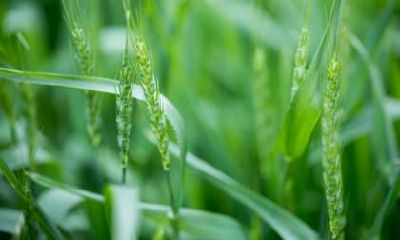 2021年3月20日春分节气出生女宝宝名字精选