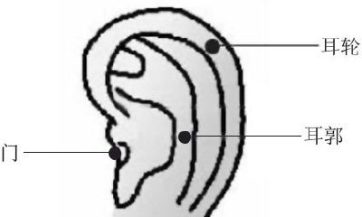 耳朵痣的位置与命运图女人