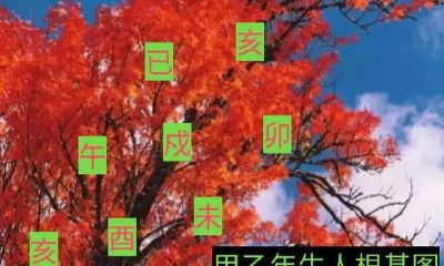 夏朝東讲八字:如何查算小儿关煞