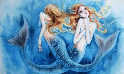 双鱼狮子错误的相遇