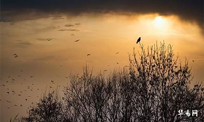 百家姓中溥姓在第几位?溥姓之前是什么姓?