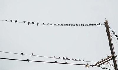 蓟姓历史名人有谁?明星中有没有蓟姓?