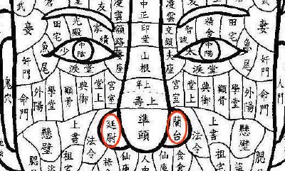 兰台有痣,廷尉有痣