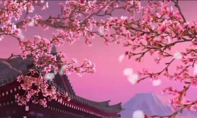 什么样的八字聚桃花