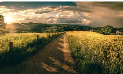 八字看命理是不是有财运