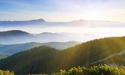 女命身旺印旺,生育之路不顺,何时能怀上孩子?