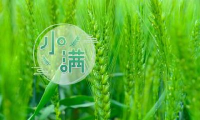 2021年雨水节气出生的男孩五行缺水取名大全