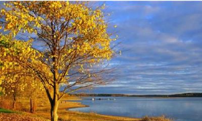 命理分析 可塑性极强的八字