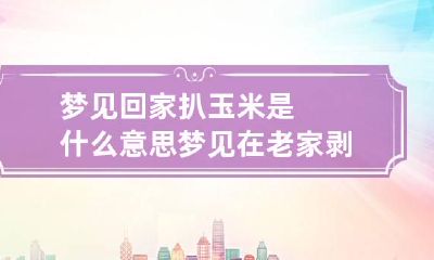 梦见回家扒玉米是什么意思 梦见在老家剥玉米