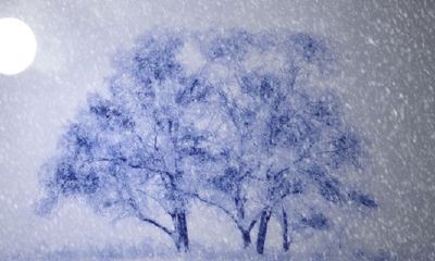 1987兔子什么时候遇到真爱?