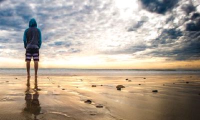 什么方向适合兔子?