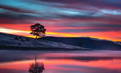 神奇的八字预测经历